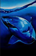 Blue Depths | Great White Shark Original Painting by SAVO